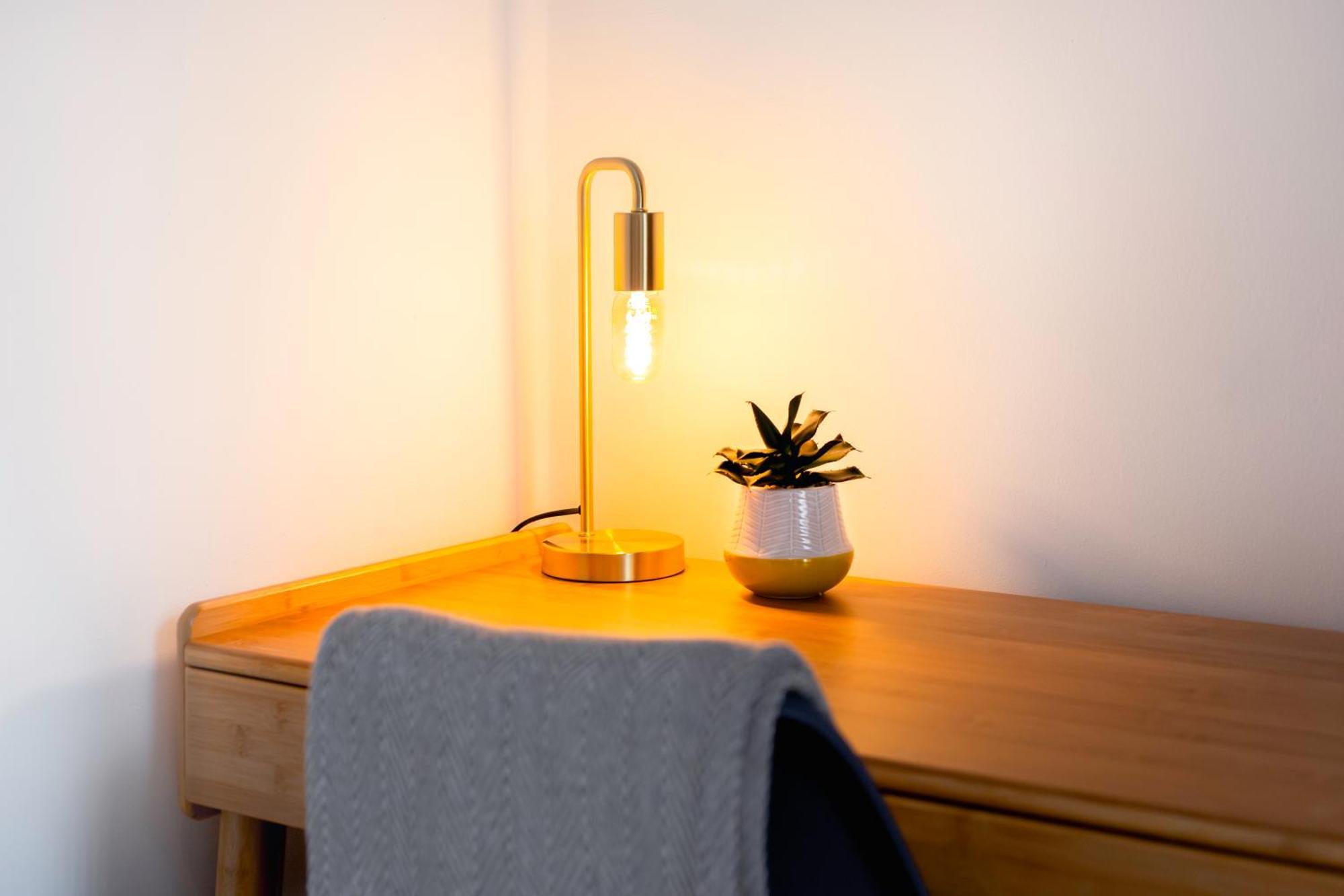 Eco-friendly In District Apartment